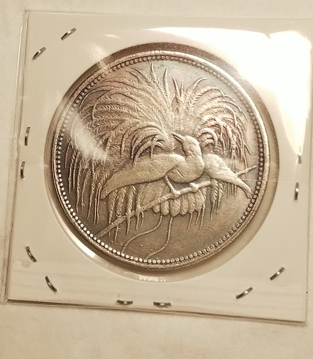パプアニューギニア（ドイツ）　５マルク銀貨（極楽鳥）　のレプリカ_画像4