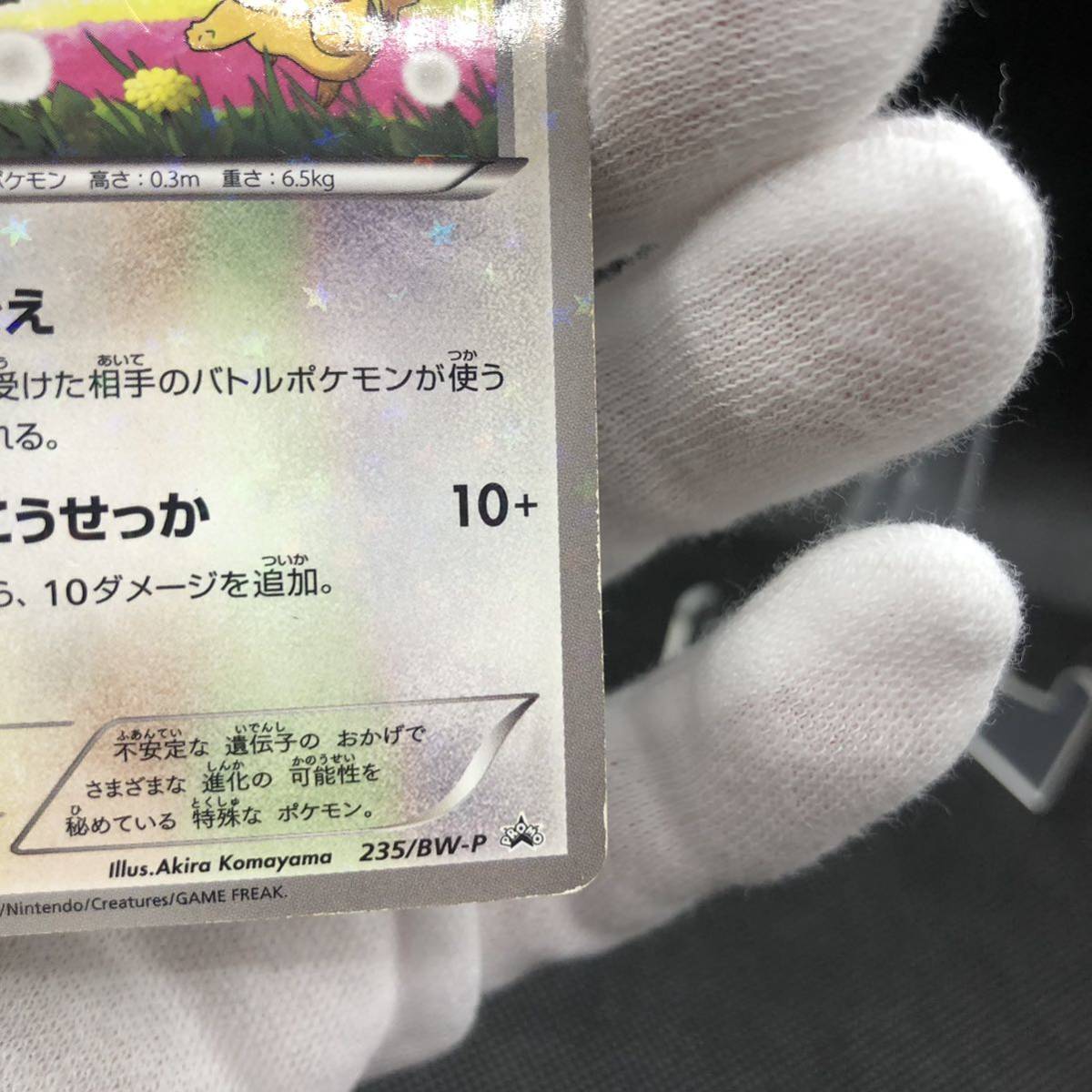 ポケモンカード イーブイ セブンイレブン プロモカード 235/BW-P ポケモンカード イーブイ セブンイレブン プロモカード 235/BW-P