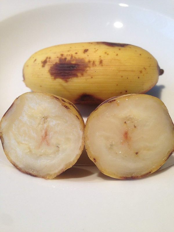 島バナナ 【小笠原種】　最高級バナナ果実500ｇ　_画像2