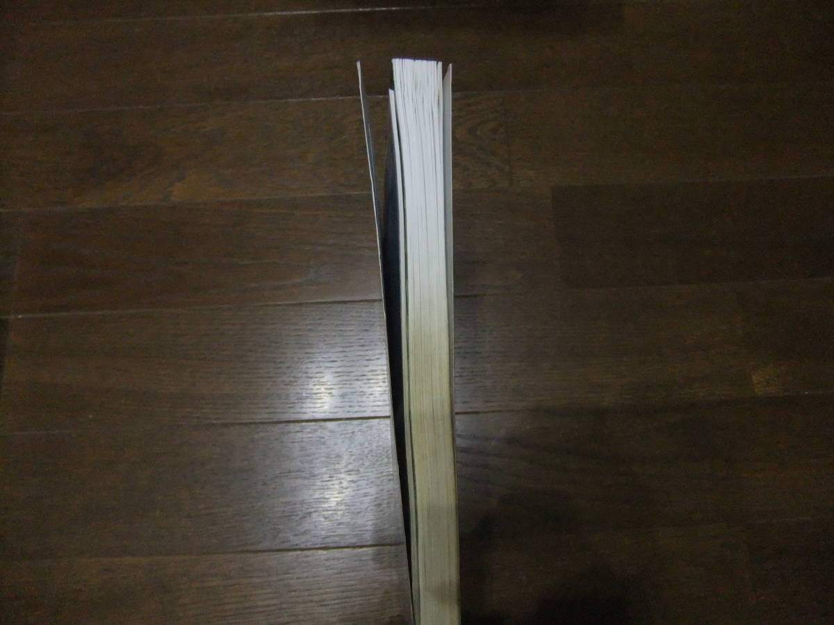 ★即決送料無料「全国大学 入試問題正解 政治経済 政経 2009年」_画像4
