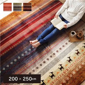 【新品】ラグマット/絨毯 【長方形 ミックス 約200×250cm】 洗える ホットカーペット 床暖房対応 防音 ギャベ 〔リビング〕_画像1