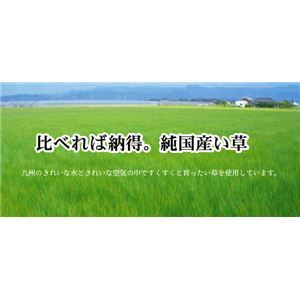 【新品】となりのトトロ い草 ラグマット/絨毯 【約140×200cm 和ごころ】 日本製 抗菌 防臭 調湿効果 弾力性 耐久性抜群 〔リビング〕_画像3