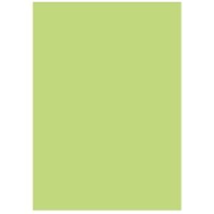 【新品】北越製紙 カラーペーパー/リサイクルコピー用紙 【A4 500枚×5冊】 日本製 グリーン(緑)_画像1