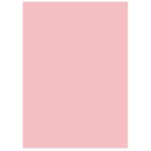 【新品】北越製紙 カラーペーパー/リサイクルコピー用紙 【B4 500枚×5冊】 日本製 ピンク_画像1