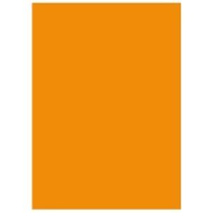 【新品】北越製紙 カラーペーパー/リサイクルコピー用紙 【A4 500枚×5冊】 日本製 オレンジ_画像1
