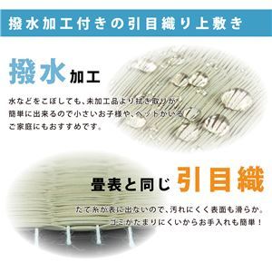 【新品】い草 ラグマット 絨毯 江戸間 10帖 撥水加工 双目織 上敷き 白馬 はくば リビング ダイニング 引っ越し 模様替え_画像5