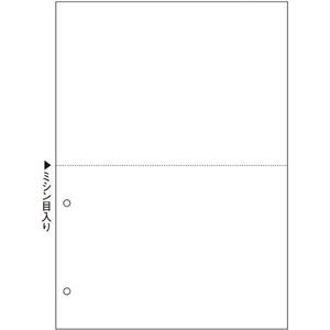 【新品】TANOSEE マルチプリンタ帳票（スーパーエコノミー） A4 白紙 2面 2穴 1セット（2500枚：100枚×25冊）
