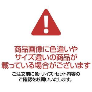 【新品】（まとめ）コクヨクリヤーブック（Glassele） 固定式 A4タテ 100ポケット オフホワイト ラ-GL100W 1冊【×3セット】_画像4