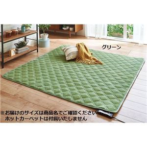 【新品】パーソナル ラグ マット ふつうタイプ 約200×240cm グリーン 保湿 吸湿 発熱 蓄熱 洗える ホットカーペット対応 床暖房対応_画像1