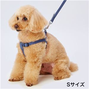 【新品】犬用胴輪 ソフトスキップハーネスL ブルー （ペット用品・犬用）_画像2