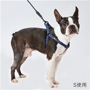 【新品】（まとめ）Portaハーネス S ネイビー【×3セット】 (犬用品/ハーネス)_画像2