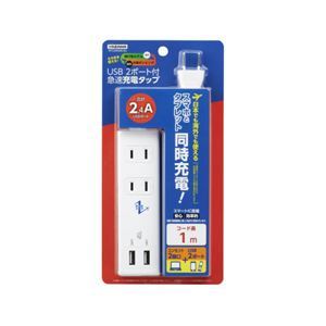 【新品】(まとめ）YAZAWA 国内海外兼用2AC2USB2.4A1mVFC24A2AC2U【×2セット】_画像1