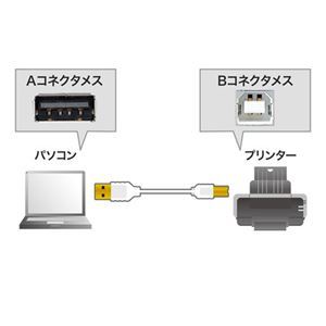 【新品】【5個セット】 サンワサプライ 極細USBケーブル （USB2.0 A-Bタイプ） 0.5m ホワイト KU20-SL05WKX5_画像2