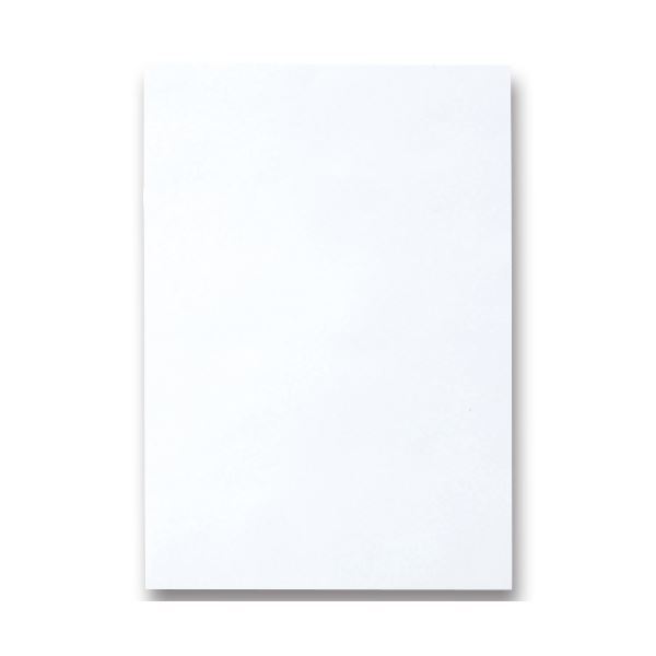 【新品】(まとめ) TANOSEE 色画用紙 四つ切 ゆき 1パック（10枚） 【×30セット】_画像1