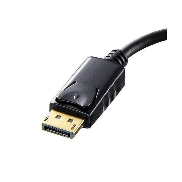 【新品】サンワサプライDisplayPort-DVI変換アダプタ AD-DPDVA01 1個_画像2