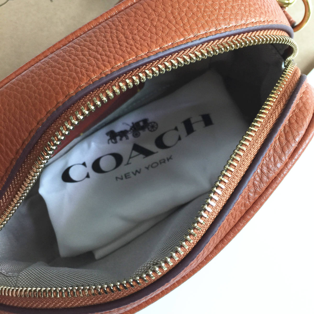 ☆新品☆コーチ/COACH バッグ CG969 DISNEY X COACH コラボ 19・リジェネラティブ レザー ショルダーバッグ クロスボディーアウトレット品_画像7