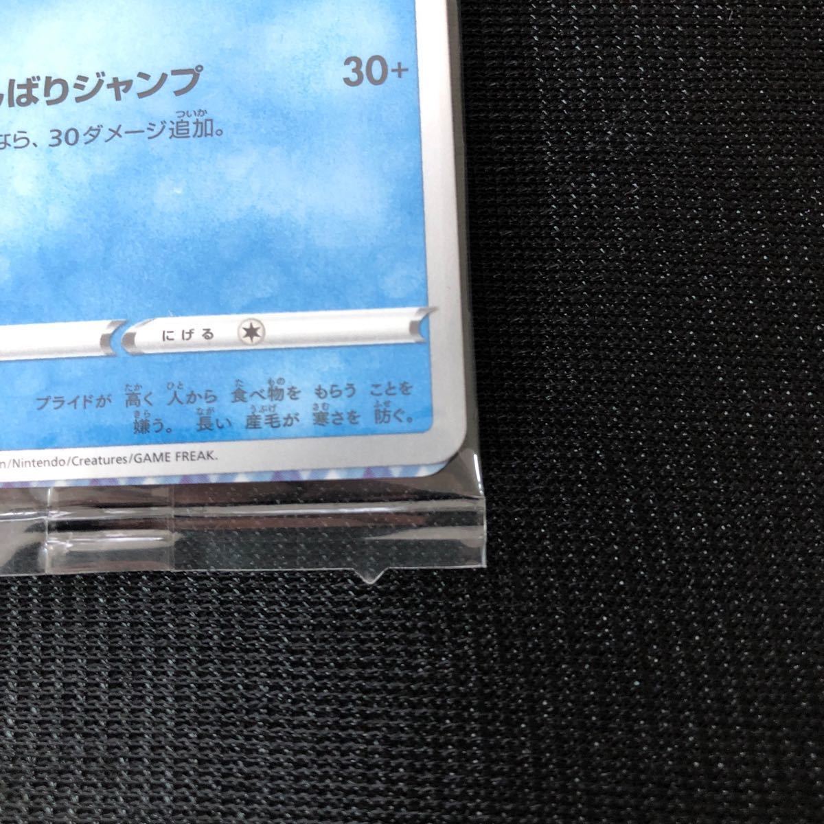 ポケモンカード ポッチャマ 未開封 プロモ ポケカ プロジェクトポッチャマ Pokemon Japanese Promo Piplup 1円スタート_画像4