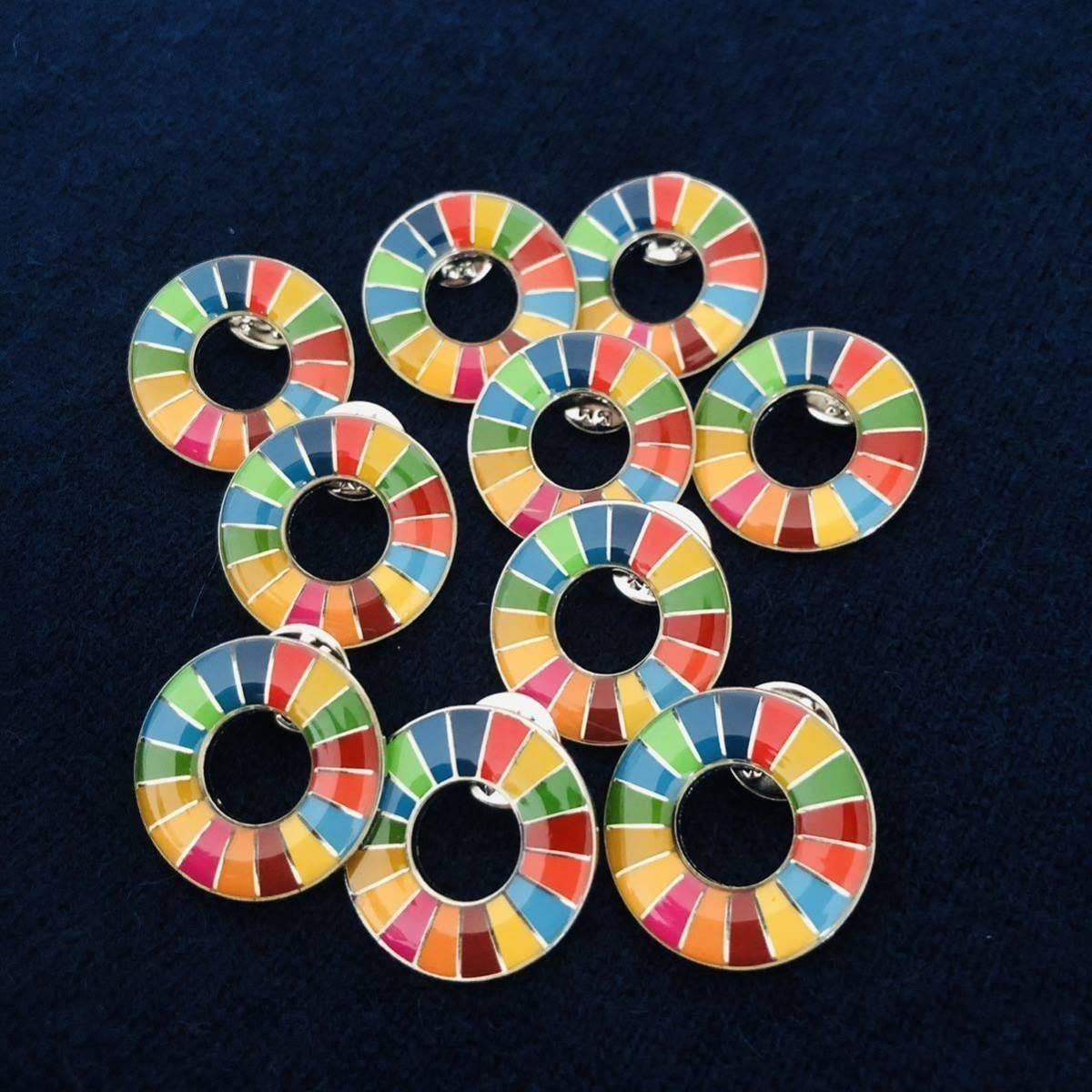 【特別提供品】SDGs ピンバッジ　新品未使用　【国連本部純正品】 _画像2