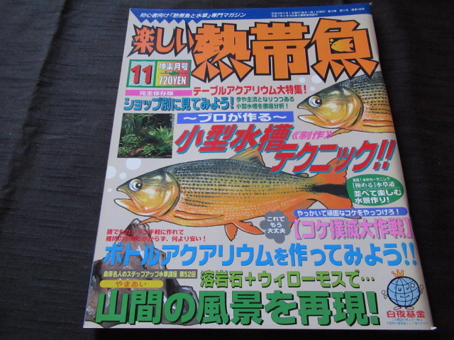 楽しい熱帯魚　2003.11神楽月号　～プロが作る～小型水槽テクニック！！　コケ撲滅大作戦　ボトルアクアリウムを作ってみよう！！_画像1