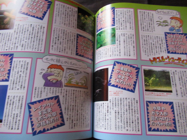 楽しい熱帯魚　1999.6梅実号　キューブ水槽で水草をラク～に楽しむ法　アクアリウムのトラブルシューティング！　国内産の水草アクアリウム_画像2