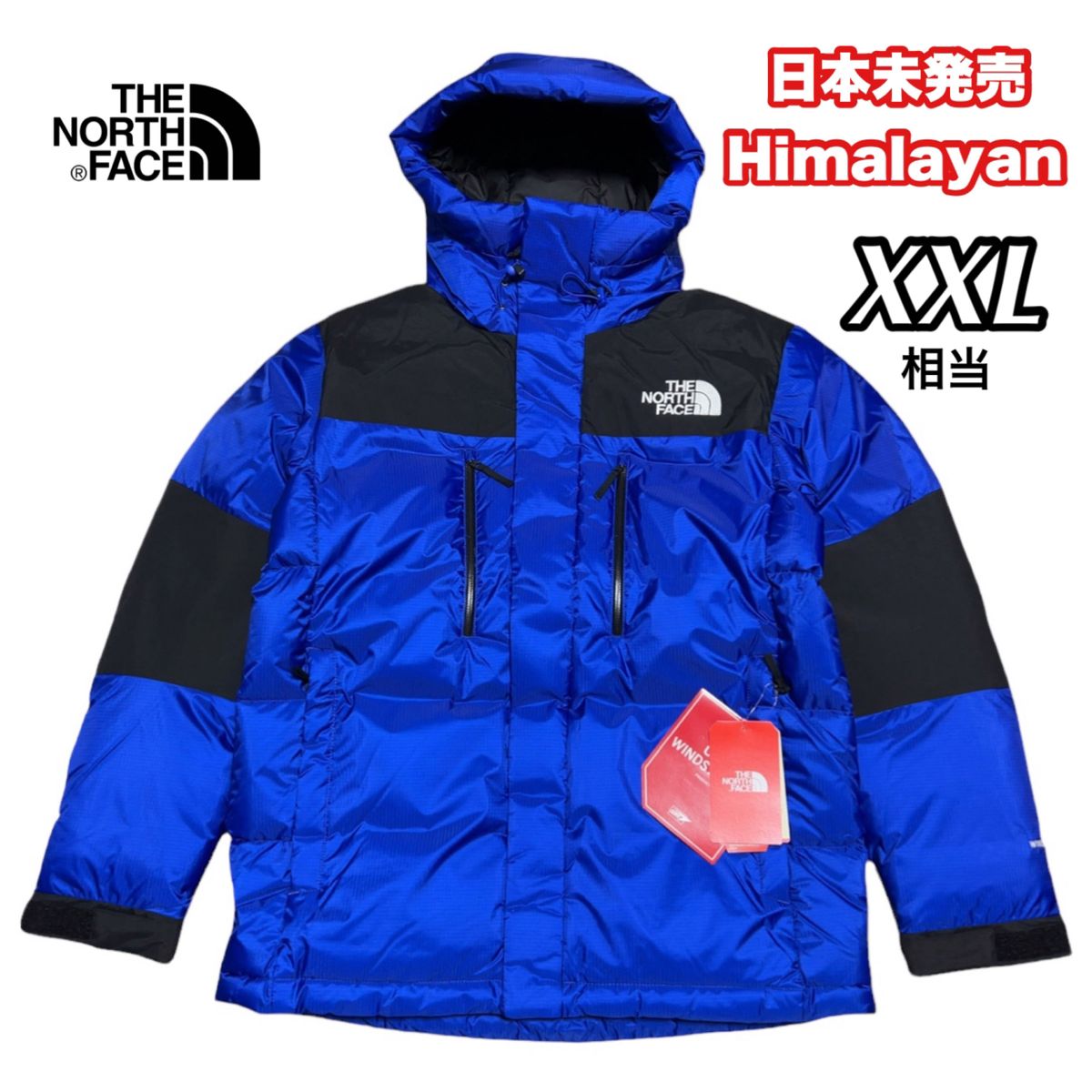 THE NORTH FACE ノースフェイス ヒマラヤンダウン GORE-TEX ウインドストッパー 海外限定 ブルー XL