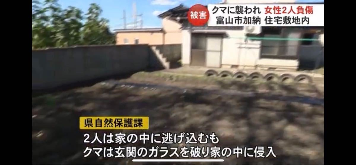 期間限定価格 イノシシ クマ対策 「狩猟槍」狩猟刀| - ナイフ 期間限定価格 イノシシ クマ対策 「狩猟槍」狩猟刀| - ナイフ