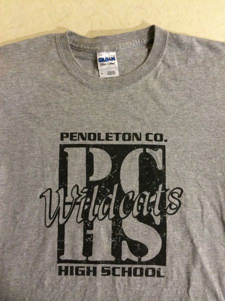 PendletonCo./GILDAN(USA)ビンテージTシャツ