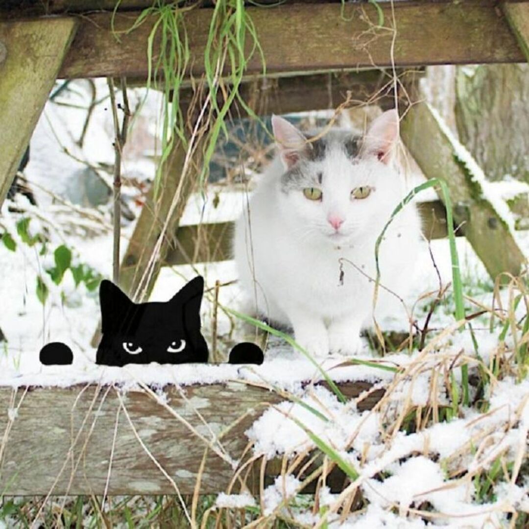 ネコのウェルカムプレート ガーデンオブジェ 猫 ガーデニング オブジェ かわいい 0-3_画像5