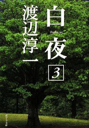 白夜(３) ポプラ文庫　日本文学／渡辺淳一【著】_画像1