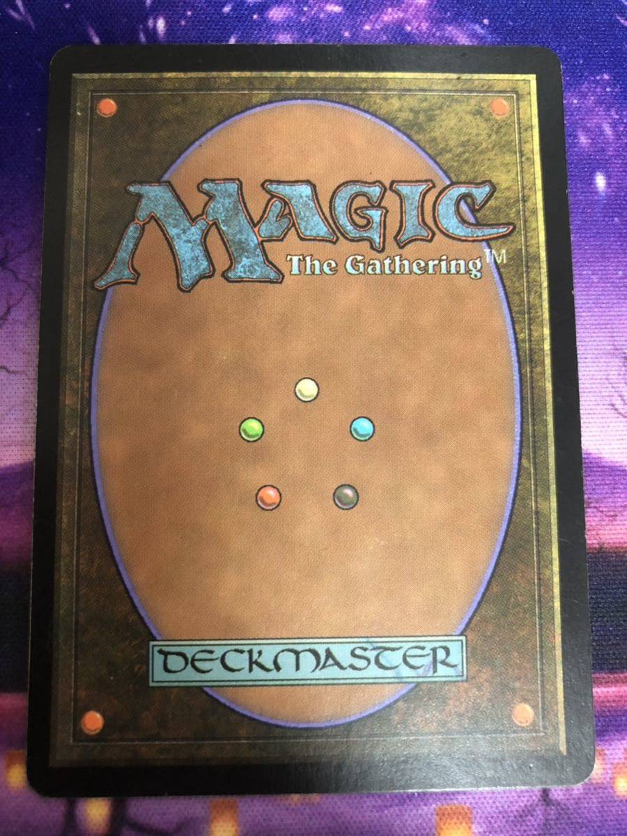 早割航空券 MTG/森/Forest/プロモ/Guru/グルランド/英語/希少 早割航空券 MTG/森/Forest/プロモ/Guru/グルランド/英語/希少
