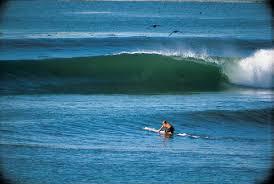 ◆新品U.S.本物【Skip Frye Surfboards】スキップ・フライ輸入ロゴ・ステッカー限定出品◆_画像5