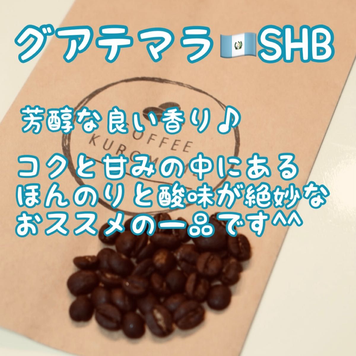 グアテマラSHB 200g 自家焙煎コーヒー豆 珈琲