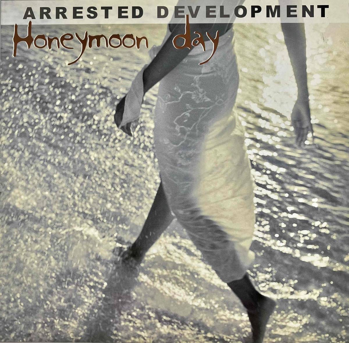 Arrested Development / Honeymoon Day 【12''】2004 / GER / Edel Records 0156000 ERE / 検索：333yen vinyl _画像1
