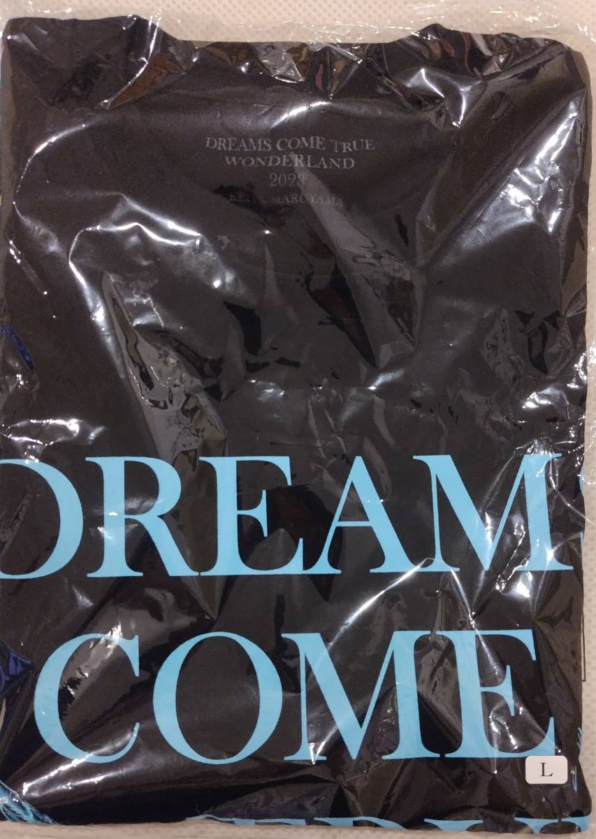 ドリカムワンダーランド2023 Tシャツ DREAMS COME TRUE×KEITA MARUYAMA　_画像1