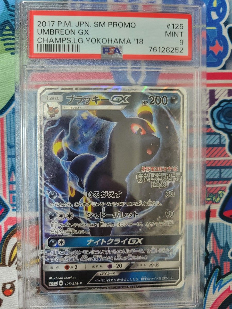 ブラッキーGX チャンピオンズリーグ2018 プロモ　PSA9