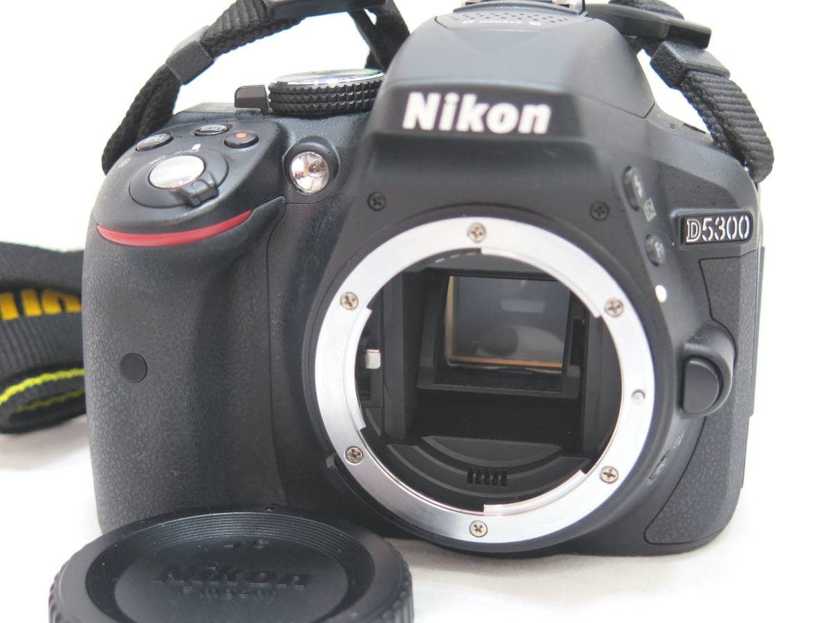 【1円スタート】 ニコン Nikon D5300 レンズ AF-S DX NIKKOR 18-140mm 1:3.5-5.6 G ED VR_画像2