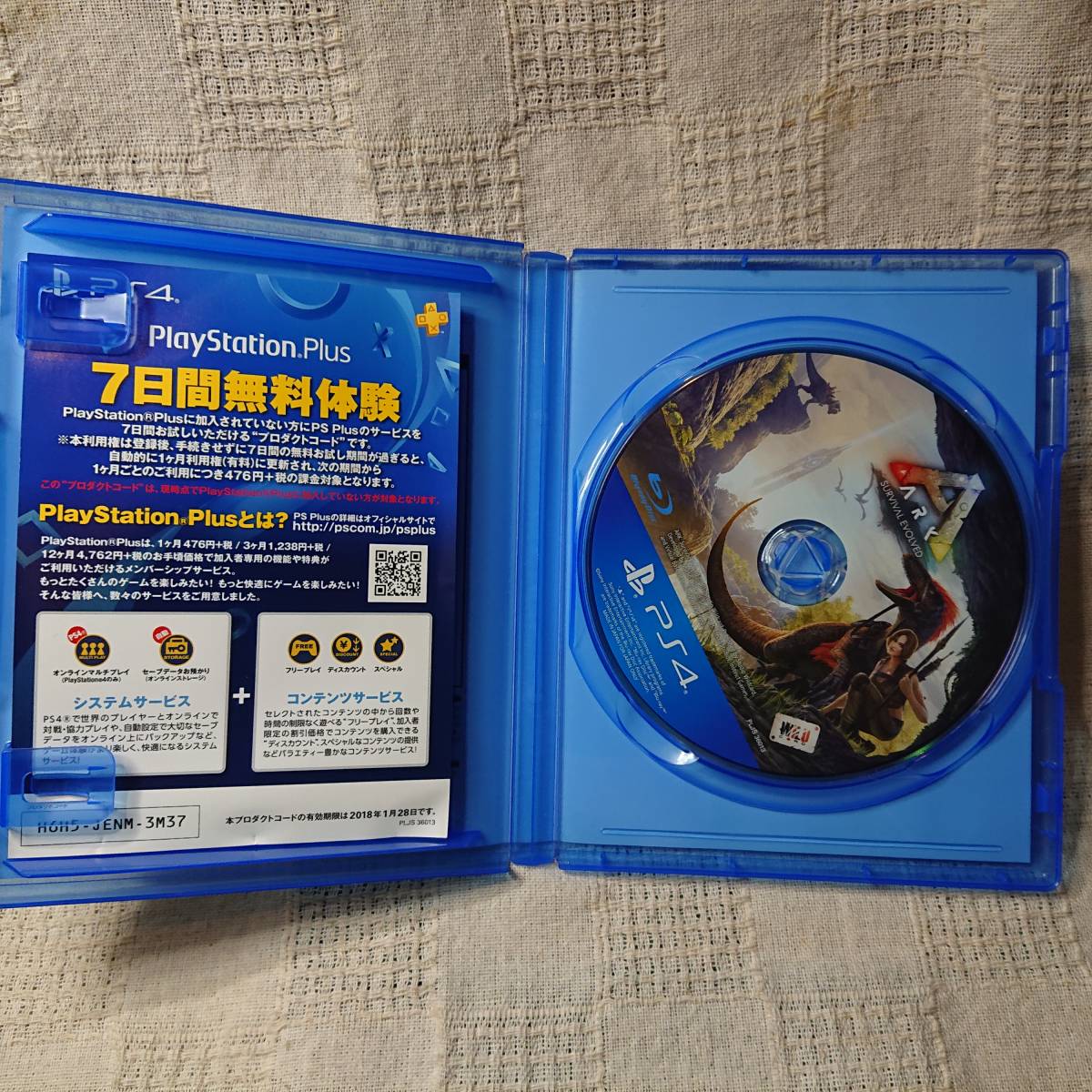 美品[Zx] PS4 Play Station 4 ARK Survival Evolved アーク サバイバル エボルブド　　定形外郵便250円発送_画像3
