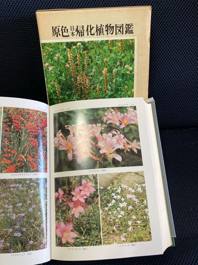 原色帰化植物図鑑　中古_画像2