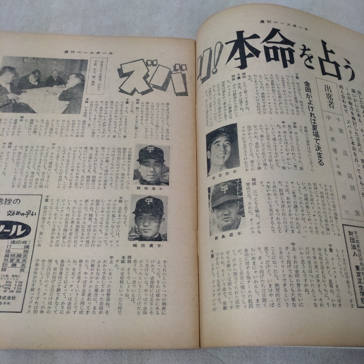 週刊ベースボール　1965年3月15日号_画像6