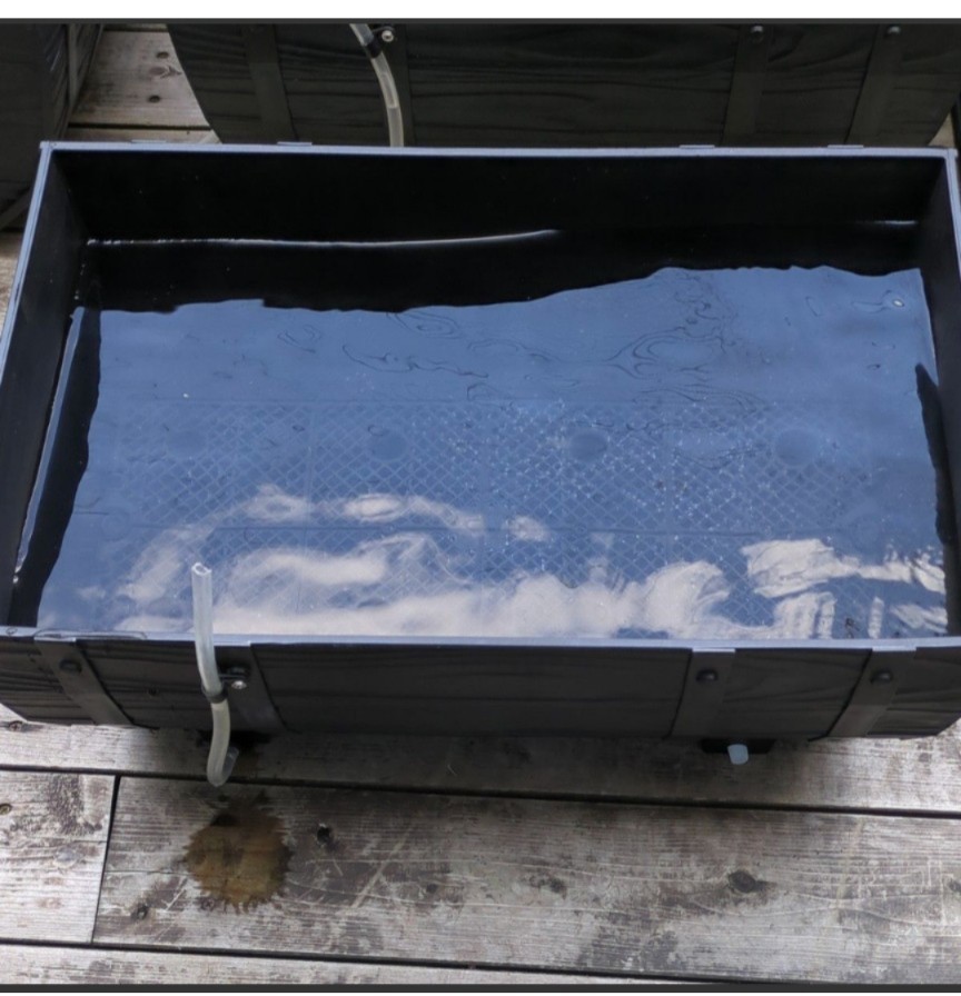 樽型のプランター500  メダカの水槽 ビオトープの画像1