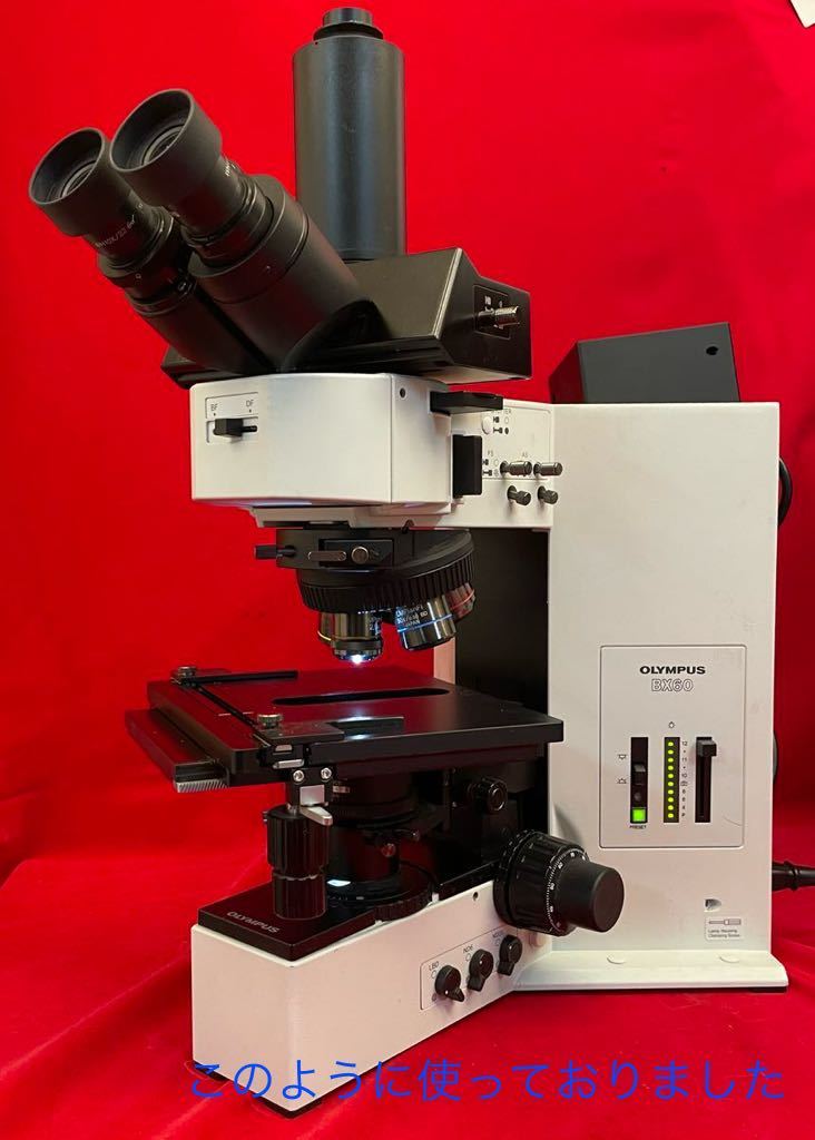  электризация OK OLYMPUS микроскоп :BX60 лампа оборудование :U-LH100 контактный глаз линзы :WH10X/22 PE 2.5X U-SPT U-PO U-DICR U-ND25 U-LBD SR(N151)