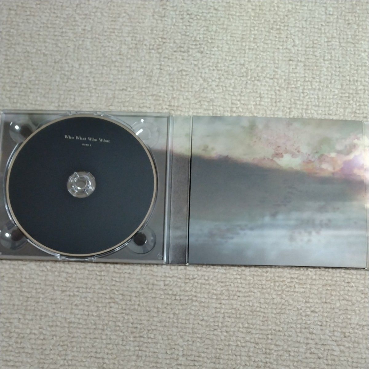 CD 「Who What Who What」 期間生産限定盤 DVD付/凛として時雨 [SME]