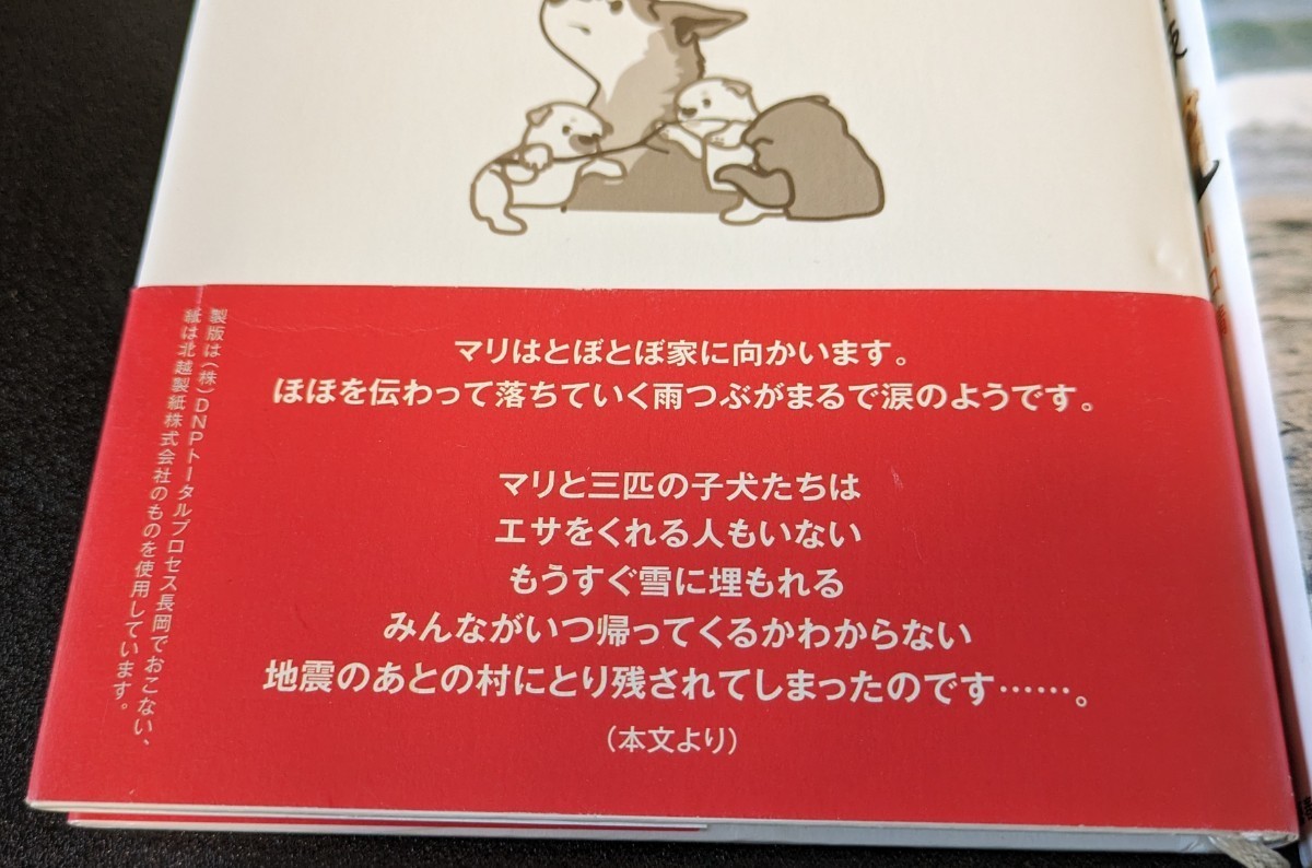 【中古本大量出品中】6冊セット マリと３匹の子犬 犬と私の10の約束 学校犬クロ 柴犬まるのワン若心経 犬猫姉弟 センパイとコウハイ 愛犬_画像4