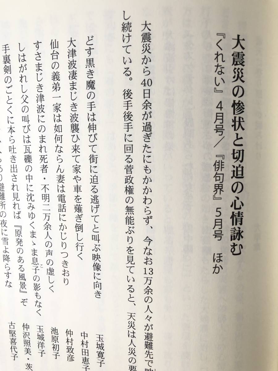 南瞑の文学と思想 「沖縄タイムス 文芸時評」2007～2011年 平敷武蕉著 沖縄タイムズ社 帯カバー付 2016年初版 B05-01C_画像9