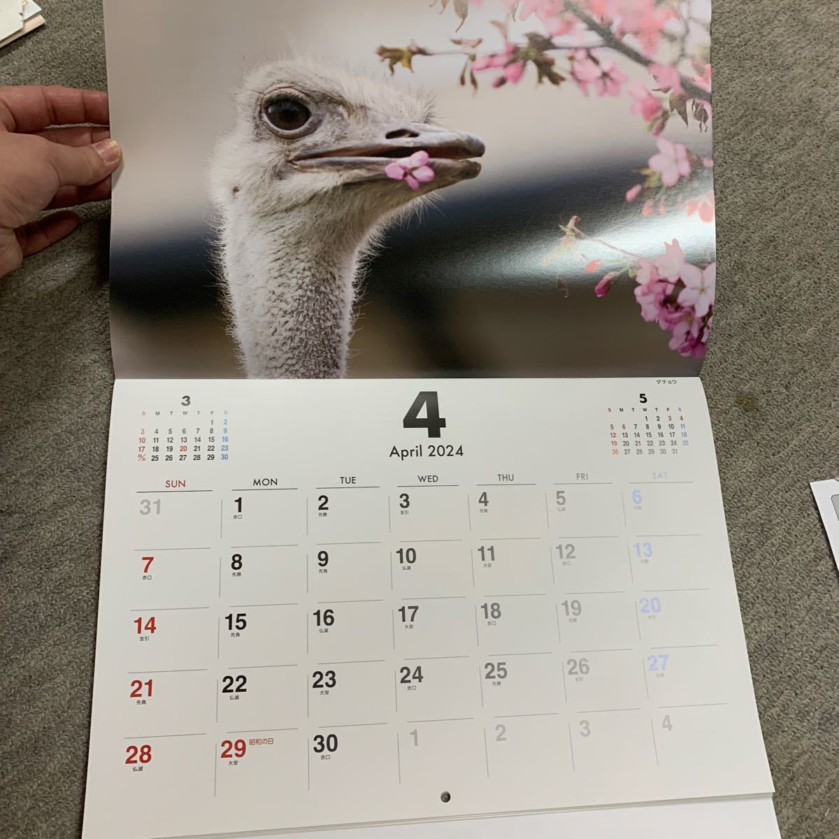 2024 asahi гора зоопарк календарь животное 