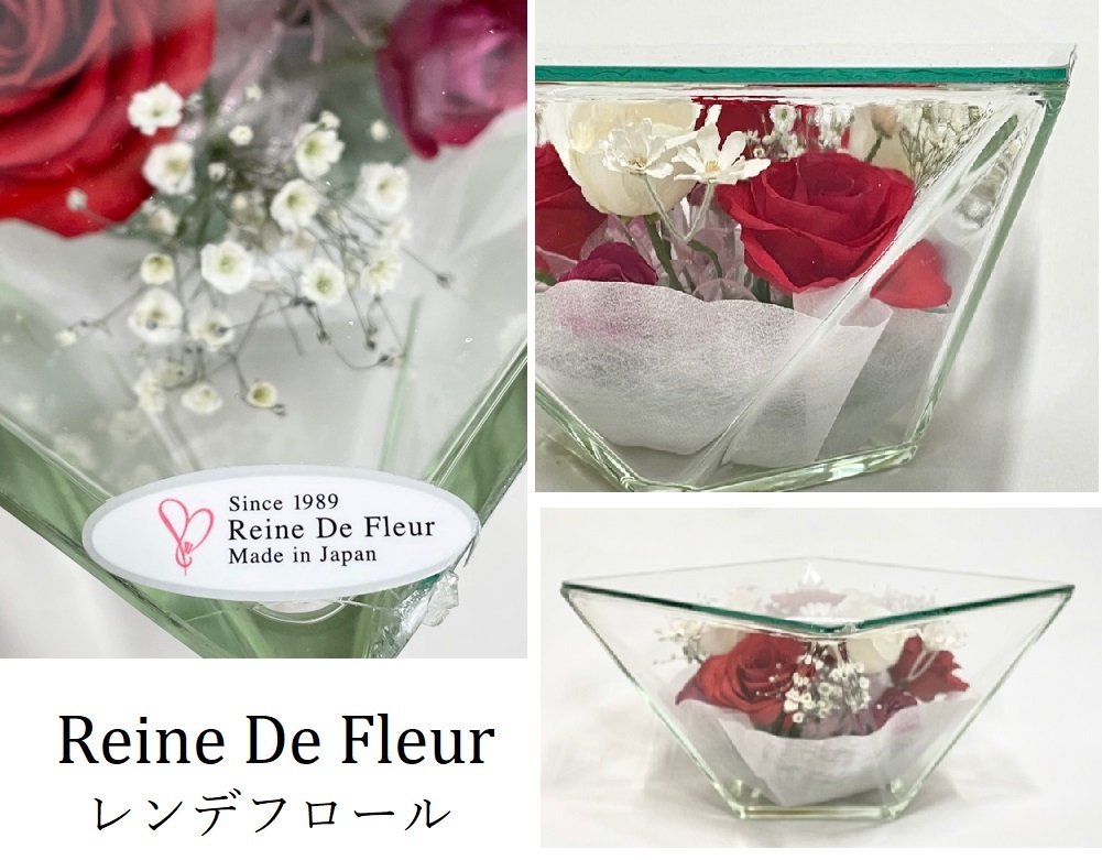 NEW не использовался товар [Renie De Fleur] Len te поток ru*.(..) консервированный цветок сухой цветок подарок стекло сделано в Японии 