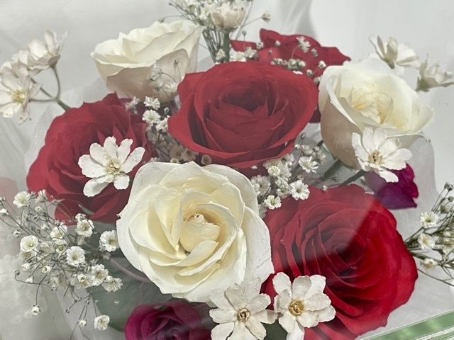 NEW не использовался товар [Renie De Fleur] Len te поток ru*.(..) консервированный цветок сухой цветок подарок стекло сделано в Японии 