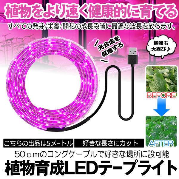 植物育成ライト 5m LED植物用 LEDテープライト 植物成長促進 光合成 促進 防水 USB対応 LEDテープ 植物育成ランプ 家庭菜園 SODATU_画像1