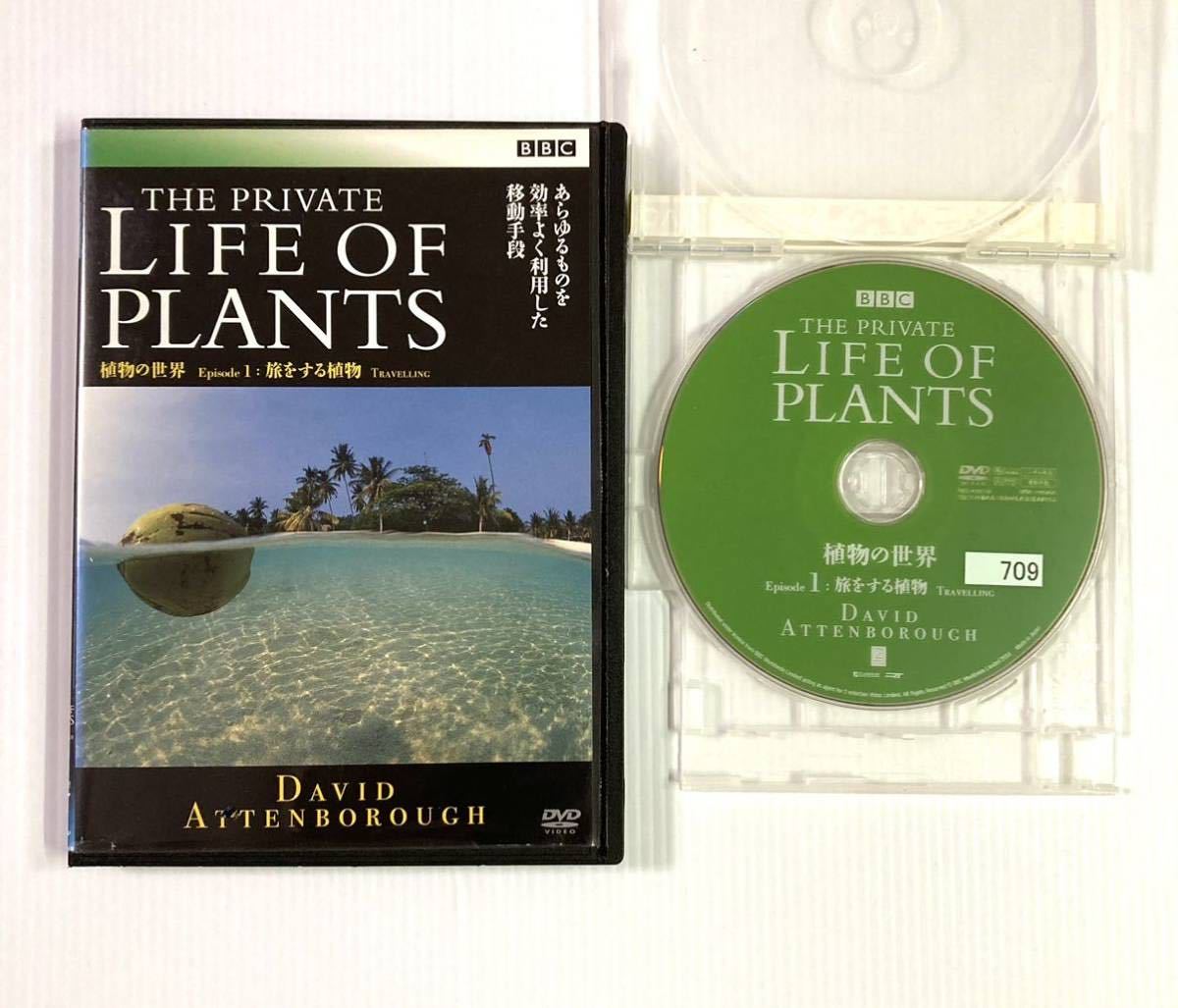 植物の世界 全6巻 BBC Life of plants_画像9