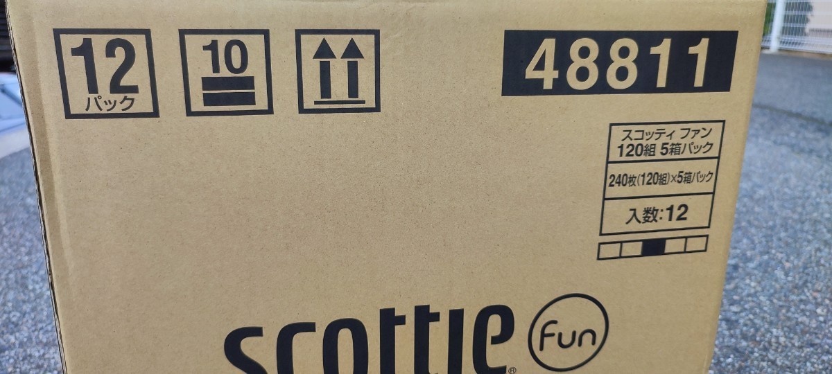 ティッシュペーパー★まとめ買い　スコッティー ファン　SCOTTIE fun FACIAL TISSUES 5箱ｘ12パック 全60箱 未使用 未開封